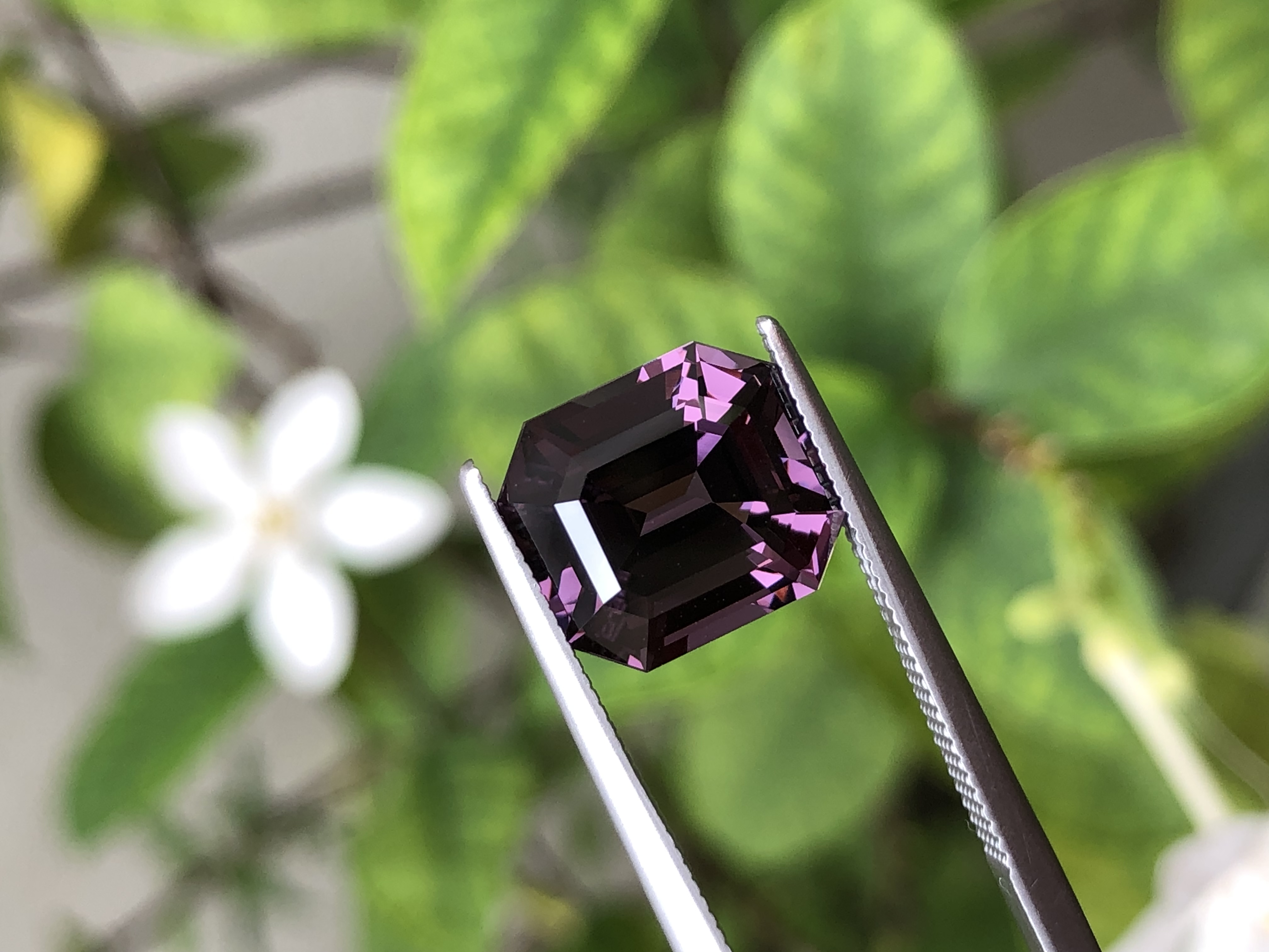 Mulberry Spinel 6.38 CT
