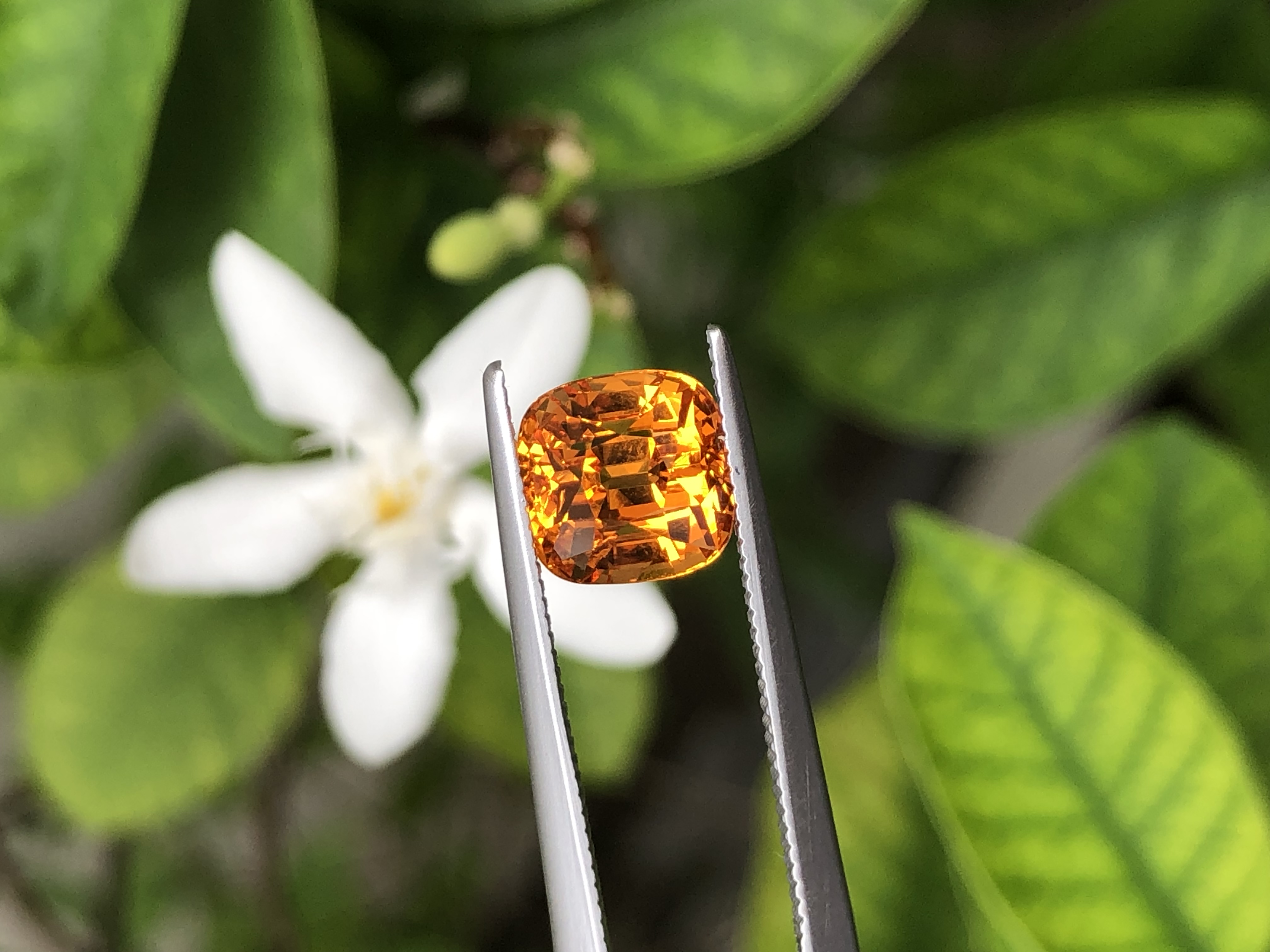 Natural Fanta Spessartite Garnet 3.30 CT